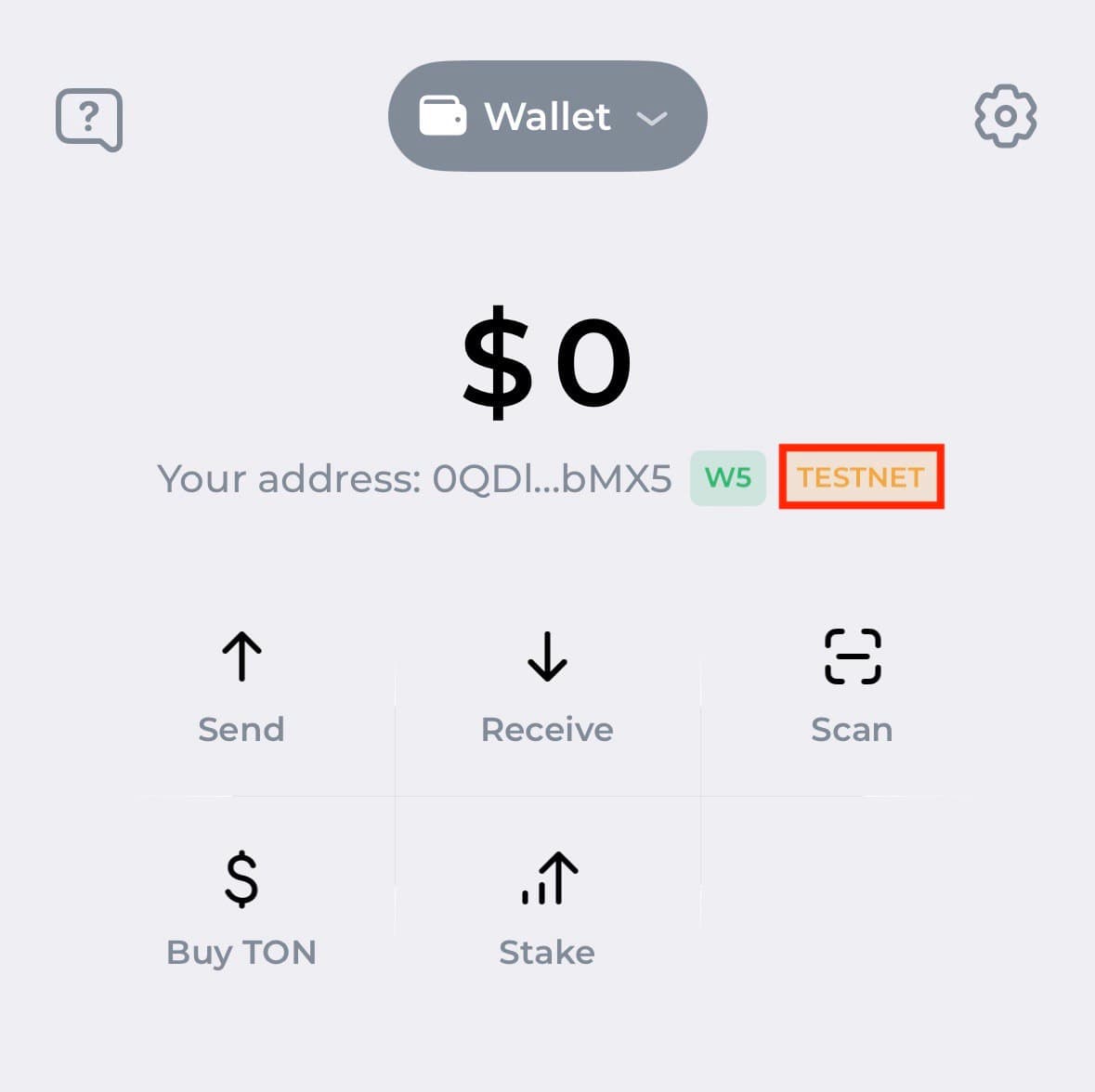 Main interface with testnet note